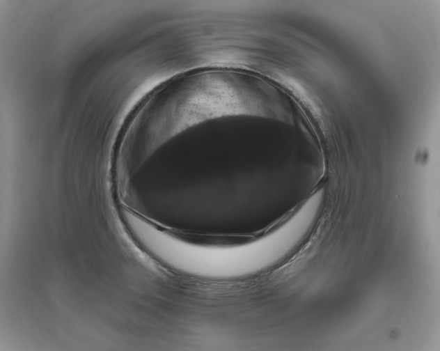 X0000096411331200802071646