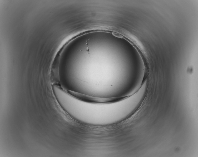 X0000096411332200802071646