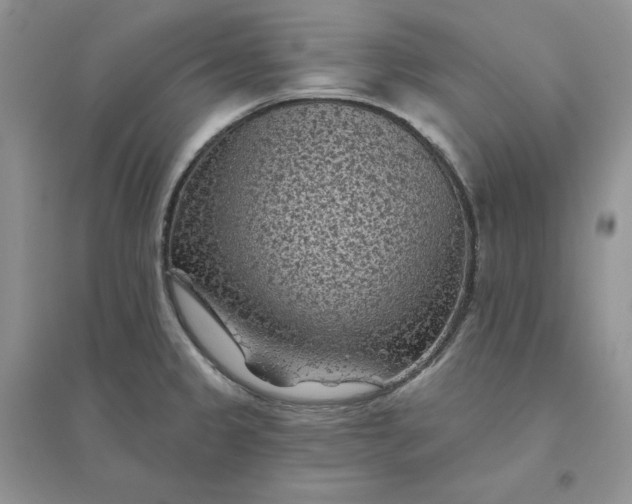 X0000096411333200802071646