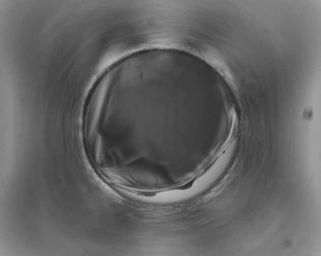 X0000096411334200802071646