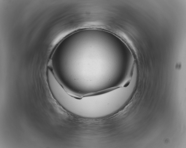 X0000096411336200802071646