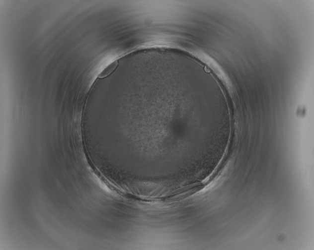 X0000096411337200802071646