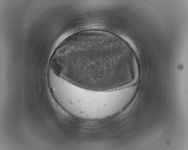 X0000096411338200802071646