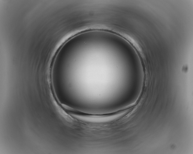 X0000096411342200802071646