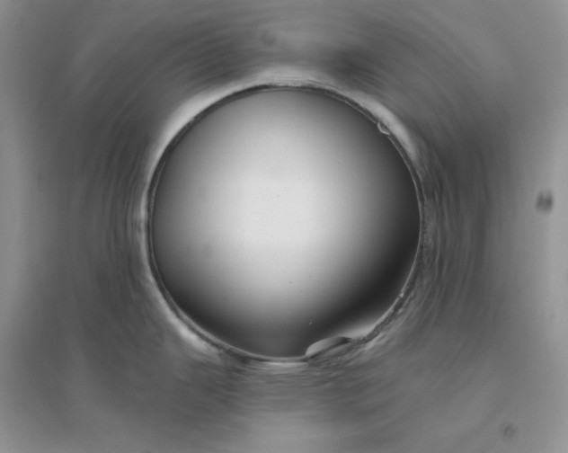 X0000096411343200802071646