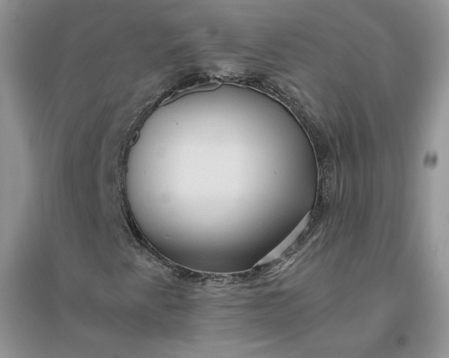 X0000096411345200802071646