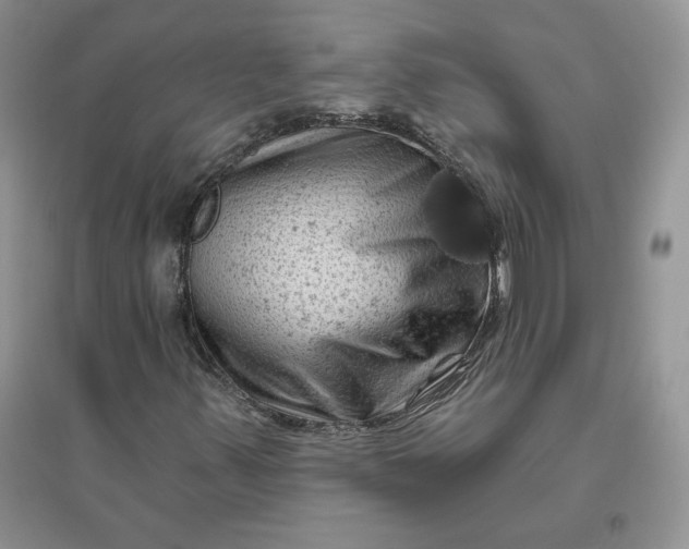 X0000096411347200802071646