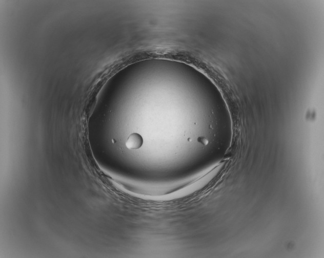 X0000096411349200802071646