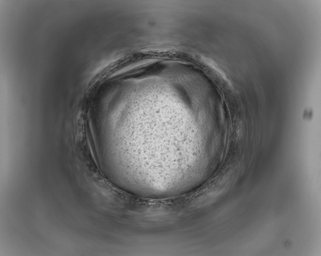X0000096411350200802071646