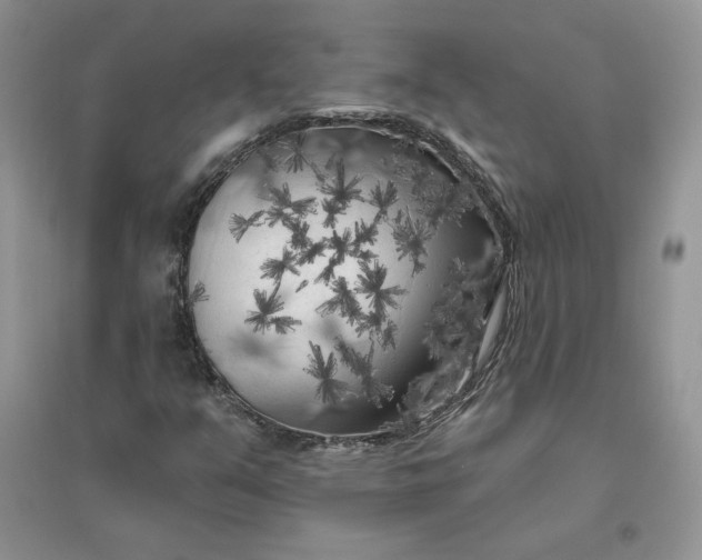 X0000096411351200802071646