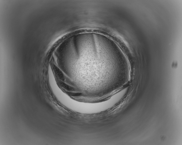 X0000096411352200802071646