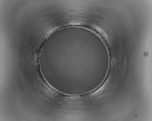 X0000096411353200802071646