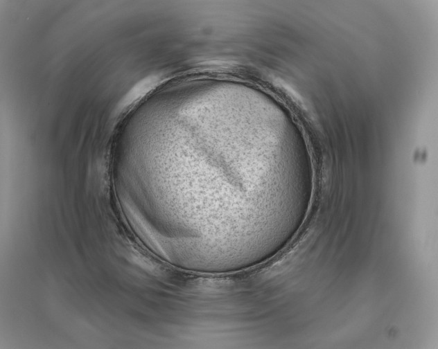 X0000096411354200802071646