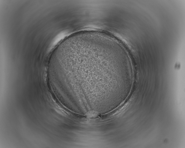 X0000096411355200802071646