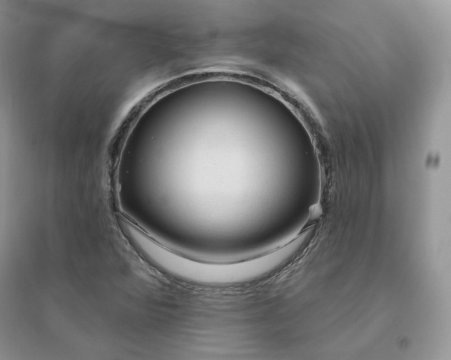 X0000096411360200802071646