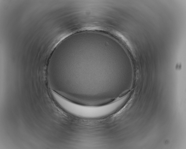 X0000096411361200802071646