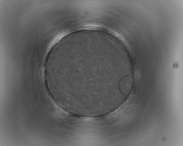 X0000096411362200802071646