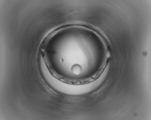 X0000096411364200802071646