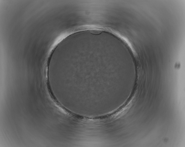 X0000096411365200802071646