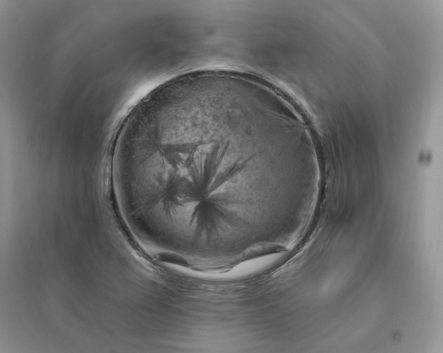 X0000096411367200802071645
