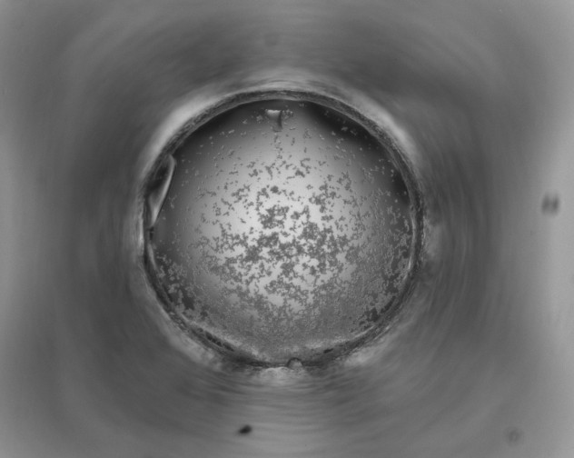 X0000096411368200802071645