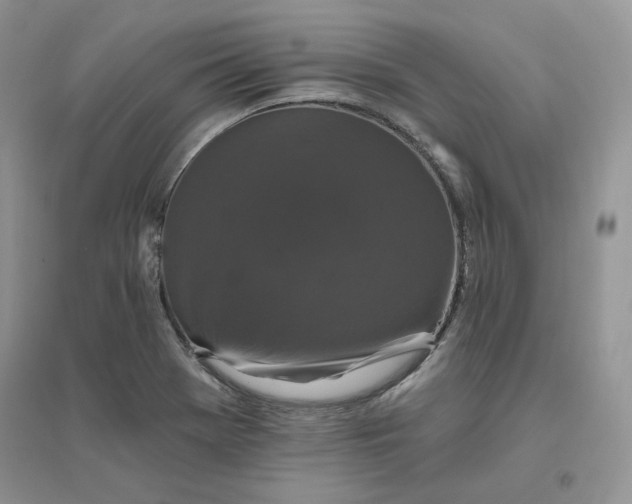 X0000096411369200802071645