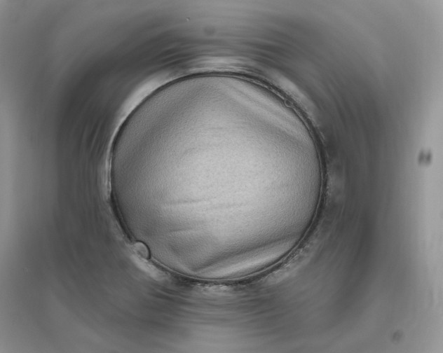 X0000096411370200802071645