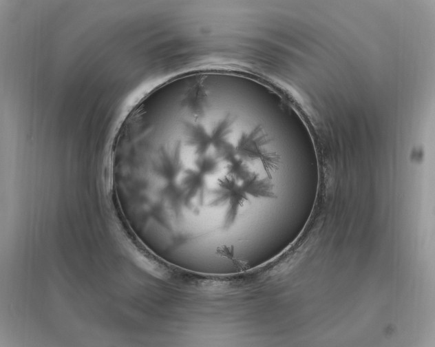 X0000096411371200802071645