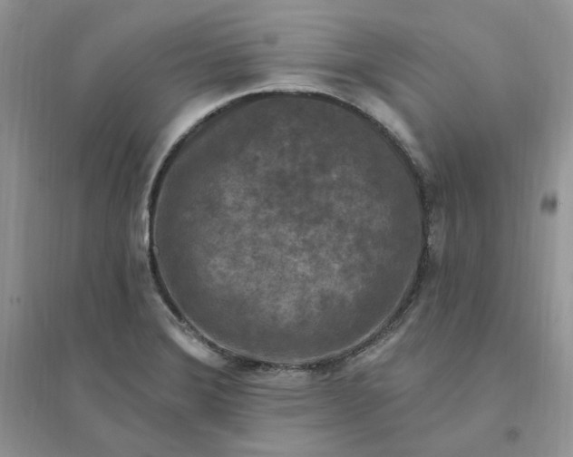 X0000096411372200802071645