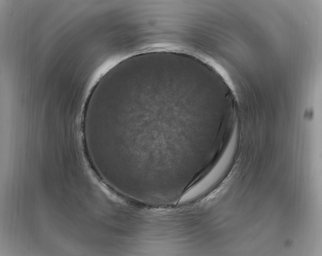 X0000096411373200802071645