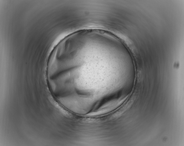 X0000096411374200802071645