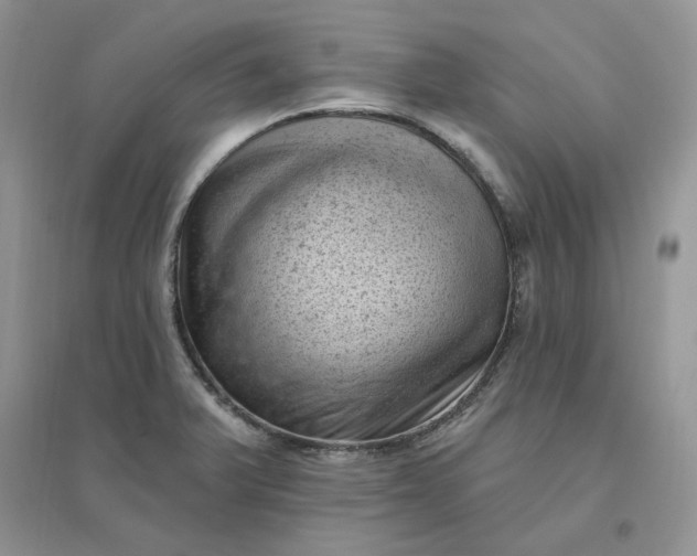 X0000096411375200802071645