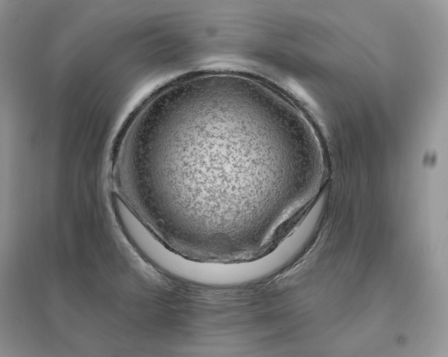 X0000096411376200802071645