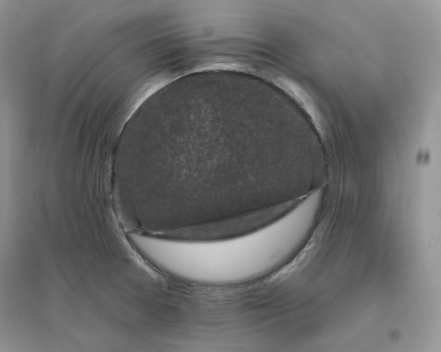X0000096411377200802071645
