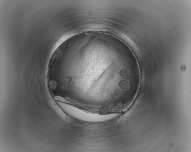 X0000096411378200802071645