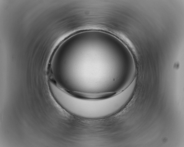 X0000096411380200802071645