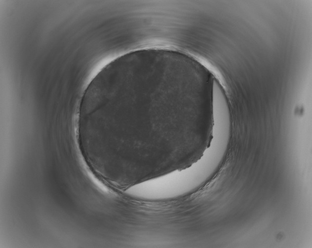 X0000096411383200802071645