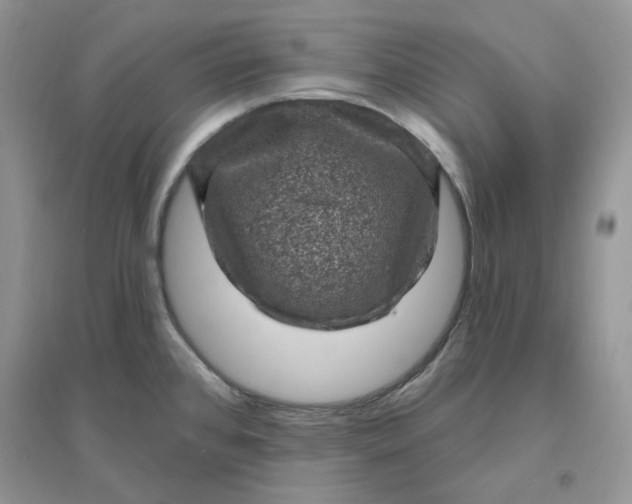 X0000096411384200802071645
