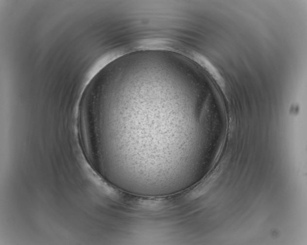 X0000096411386200802071645