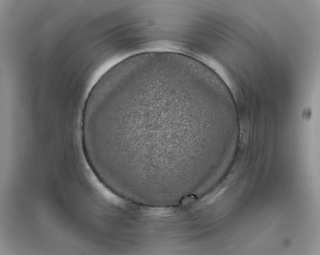 X0000096411387200802071645