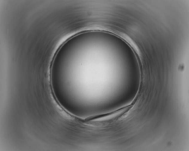 X0000096411388200802071645