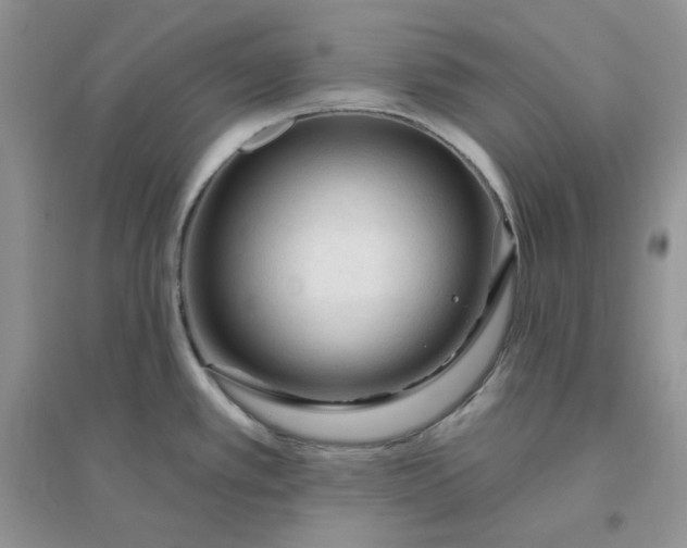 X0000096411389200802071645