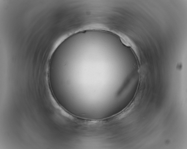 X0000096411390200802071645