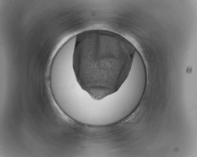 X0000096411392200802071645