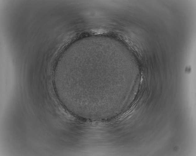 X0000096411393200802071644