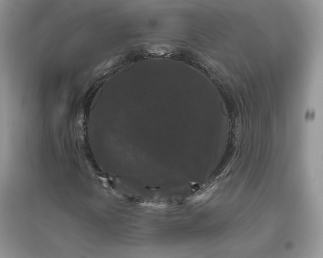 X0000096411394200802071644