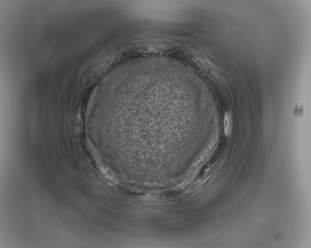 X0000096411395200802071644