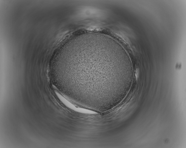 X0000096411396200802071645