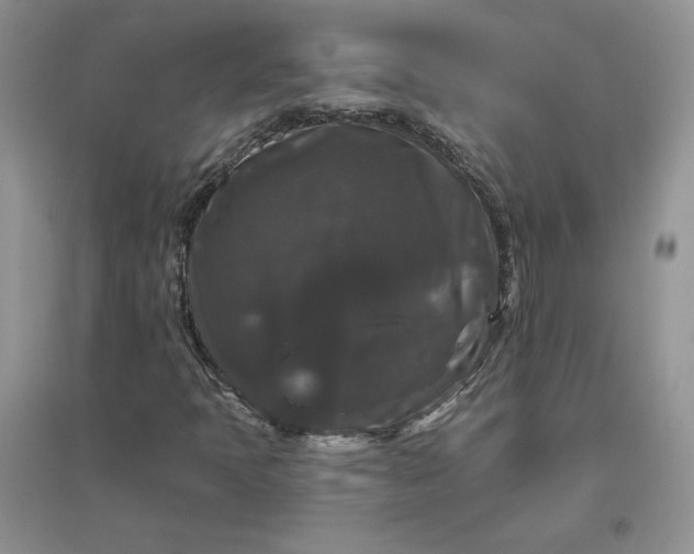 X0000096411397200802071645