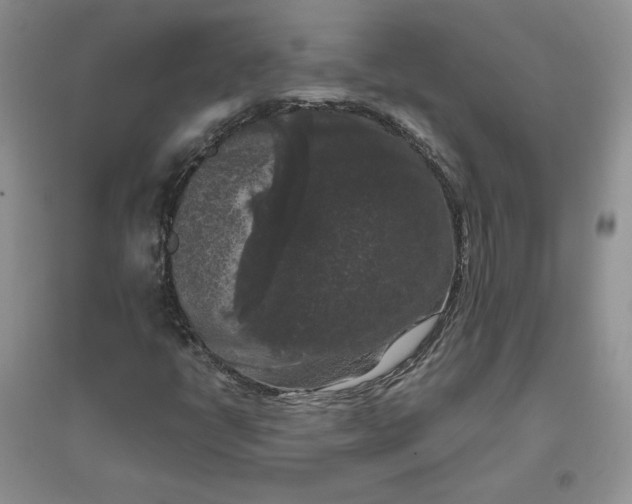 X0000096411398200802071645